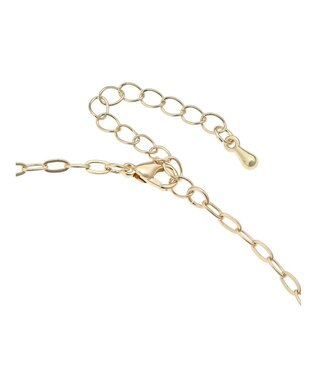 AMERICAN HOLIC コイン２ＳＥＴネックレス Silver