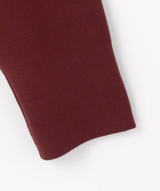 自由区 L 【カタログ掲載】レーヨンストレッチベーシックシルエット ニット ボルドー