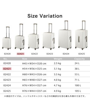 ACE BAGS & LUGGAGE Proteca 360G4 スーツケース 日本製 機内持ち込み 38L 02421 プロテカ ウォームグレー