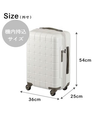 ACE BAGS & LUGGAGE Proteca 360G4 スーツケース 日本製 機内持ち込み 38L 02421 プロテカ ウォームグレー