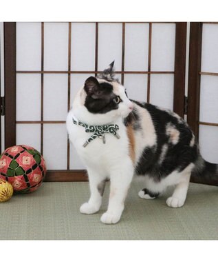 PET PARADISE ペットパラダイス 和むすび 猫首輪  《緑》 小 / 中 緑