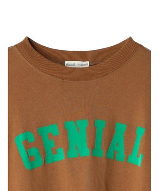 CRAFT STANDARD BOUTIQUE ウ゛ィンテージ風天竺　フロッキークラックＰＴ　ＯＰ　 Brown