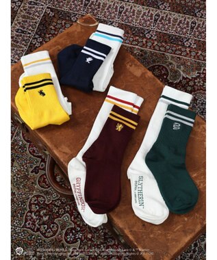 Green Parks ハリーポッター／ＳＥＴ２点カラー＋ラインソックス Navy