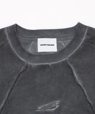 WEGO 【ユニセックス着用ITEM/MLサイズ展開】コールドダイスウィッチングロゴT（SS） スミクロ