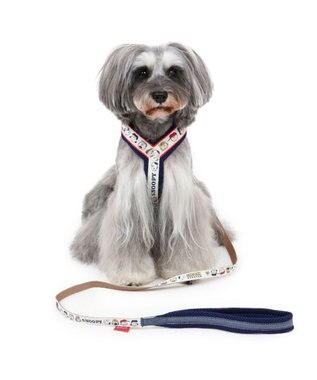 犬 リード スヌーピー ｓｓ ｓ エモーション 小型犬 おさんぽ おでかけ お出掛け おしゃれ オシャレ かわいい Pet Paradise ファッション通販 公式通販 オンワード クローゼット
