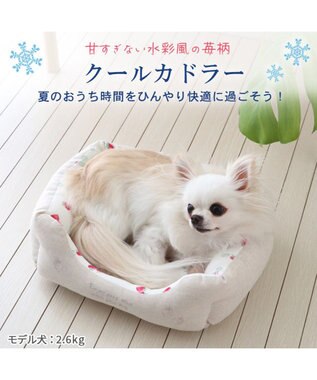 PET PARADISE 苺柄 四角型クール カドラーベッド（38cm） -