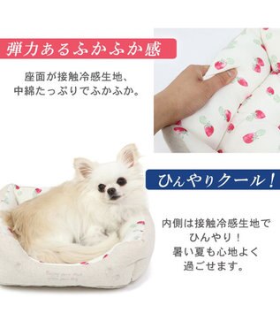 PET PARADISE 苺柄 四角型クール カドラーベッド（38cm） -