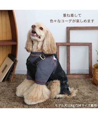 PET PARADISE Lee ステッチ トレーナー 《グレー》 中型犬 大型犬 グレー