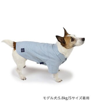 PET PARADISE J.PRESS シャンブレーシャツ 小型犬 ブルー
