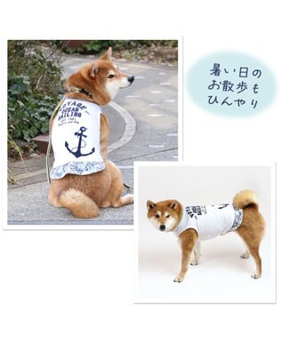 ペットパラダイス マリン柄 タンクトップ SM【中型犬】【大型犬