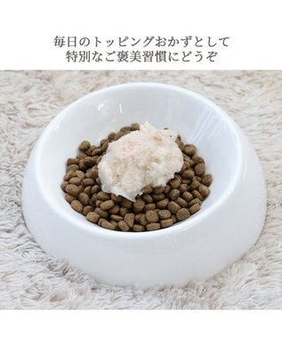 PET PARADISE リアルフード パウチスープ チキン＆ブロッコリー 50g×3パック 国産 -