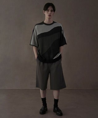 WEGO TRバギーショーツ ダークグレー