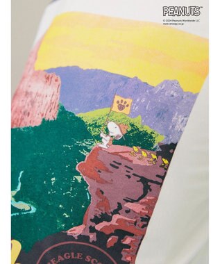 AMERICAN HOLIC ラグランフォトプルオーバー／ＰＥＡＮＵＴＳ Charcoal Gray