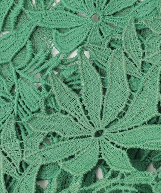 BEIGE， NARCISSUS / レースブラウス Pine Green