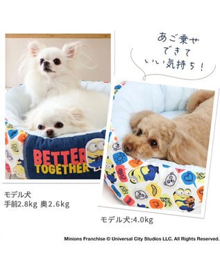 PET PARADISE ミニオン ふきだし柄 接触冷感 クール カドラーベッド《丸型》（55cm） マルチカラー