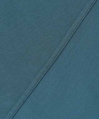 J.PRESS LADIES L 【接触冷感】プレーティングジャージー フレンチスリーブ カットソー シーブルー系