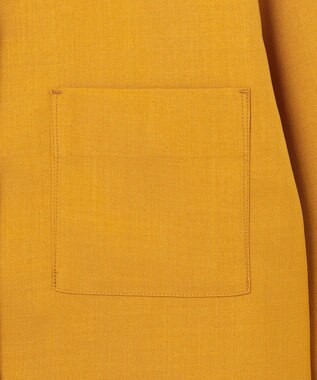 J.PRESS YORK STREET 【WOMEN】バックプリーツブラウス イエロー系