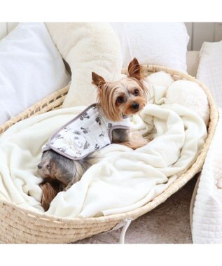 PET PARADISE ペットパラダイス ふわりと キルトベスト 《パンダ》 小型犬 超小型犬 パンダ