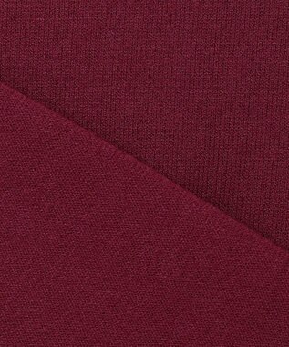 J.PRESS LADIES L 【洗える】PRINCE Vネック ニット ワイン系