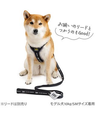 PET PARADISE Lee ロゴアクティブ ハーネス ＳＭ ブラック