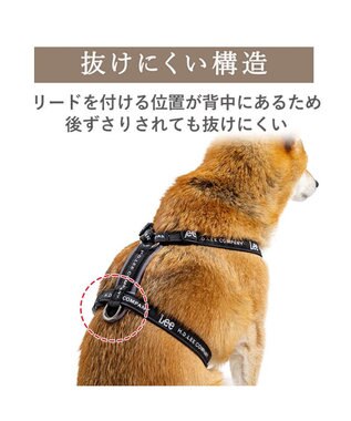 PET PARADISE Lee ロゴアクティブ ハーネス ＳＭ ブラック
