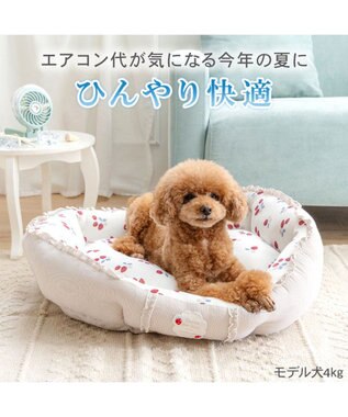 PET PARADISE ペットパラダイス クールカドラー 丸型 《苺花柄》 Ｍ ホワイト×レッド