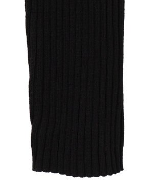 WEGO リブハイネックショートニット ブラック