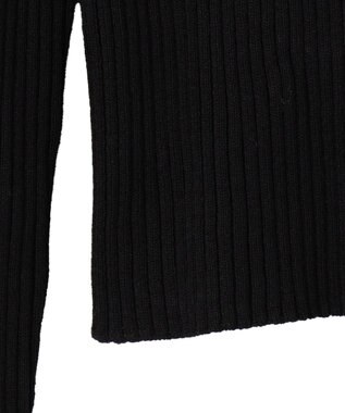 WEGO リブハイネックショートニット ブラック