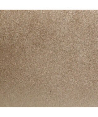 ROOTOTE 0188【オフィシャルストア限定】LT.ミディアム.レザレット.RTG-A 03：ブロンズ