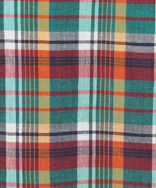 J.PRESS MEN 【J.PRESS ORIGINALS】Indian Madras Regular half Sleeve Shirt / Baggy-Fit グリーン系3