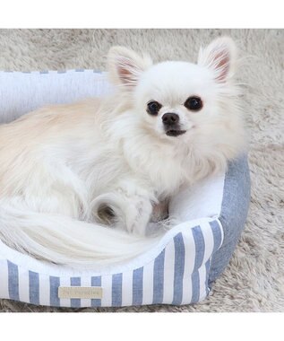 PET PARADISE ペットパラダイス　ストライプカドラー《ブルー》 S 超小型犬 ストライプ ブルー