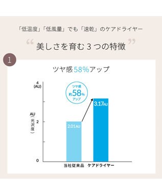 YAMATO テーブル＆キッチン 【TWINBIRD】ケアドライヤー  ホワイト  TB-G008JPW ホワイト