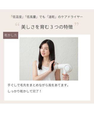 YAMATO テーブル＆キッチン 【TWINBIRD】ケアドライヤー  ホワイト  TB-G008JPW ホワイト