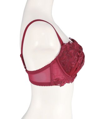 San-ai Resort（三愛水着楽園） エレガントコレクション【2411】単品ブラEFGカップ 【northerly】 レッド