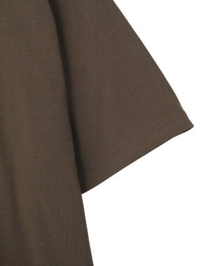 AMERICAN HOLIC 【マルチ機能】カレッジロゴＴシャツ Brown