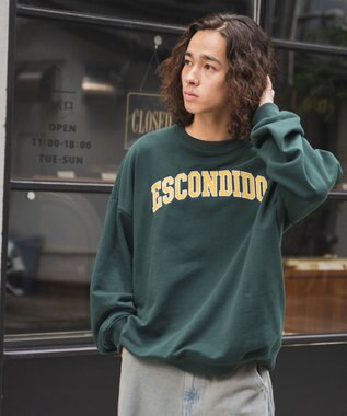 WEGO ヘビーウエイト刺繍グラフィックプルオーバー ダークグリーン