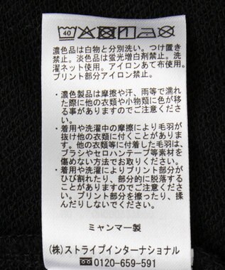 AMERICAN HOLIC ハンドストロークフォト裏毛プルオーバー Black