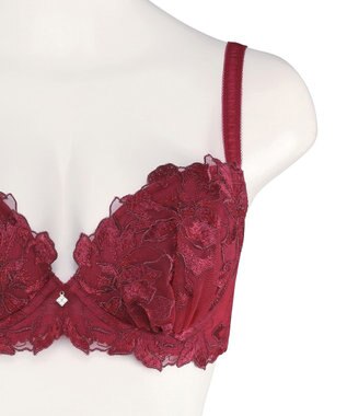 San-ai Resort（三愛水着楽園） エレガントコレクション【2411】単品ブラEFGカップ 【northerly】 レッド