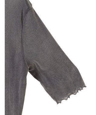 AMERICAN HOLIC シアーベロアＴシャツ Gray