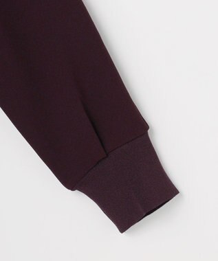 J.PRESS LADIES ジョーゼットダンボール ボトルネック カットソー パープル系