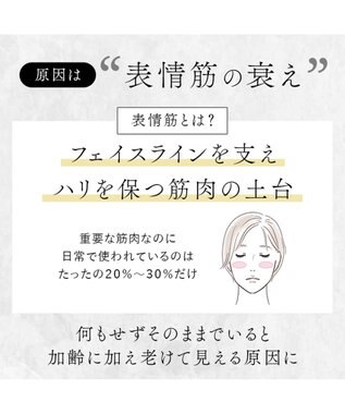 YAMATO テーブル＆キッチン 【STELLA BEAUTE】Beauty Face Stick / ブラック / SB-BFS01-03 ブラック