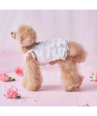 PET PARADISE cherircouture ホワイトローズ キャミソール 小型犬 ホワイト