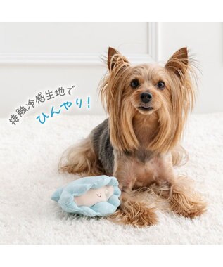 PET PARADISE ペットパラダイス 貝殻 クール トイ ブルー