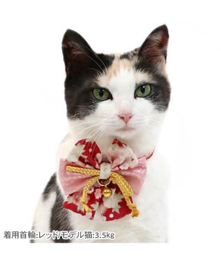 PET PARADISE ペットパラダイス 和帯 ねこ首輪 《赤》 小 / 中 赤