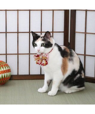 PET PARADISE ペットパラダイス 和帯 ねこ首輪 《赤》 小 / 中 赤