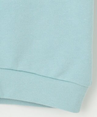 ANY KIDS 【らくっトレーナー】アニマル 裏毛 サガラ刺しゅう トレーナー エメラルドグリーン（イヌ）