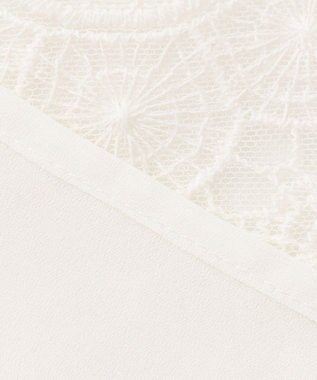 ANY SIS 【洗える】レイヤードレース ブラウス ホワイト系