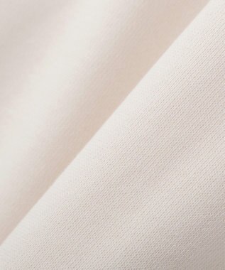 AMERICAN HOLIC カレッジロゴドルマンスウェット Ivory