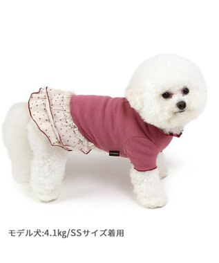 PET PARADISE ペットパラダイス ペティヒート プレミアム  ワンピース 《花ボタン柄》 小型犬 花ボタン柄