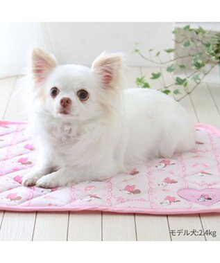 PET PARADISE ディズニー ミニーマウス レース クール マット 小型犬 48×40㎝ ピンク